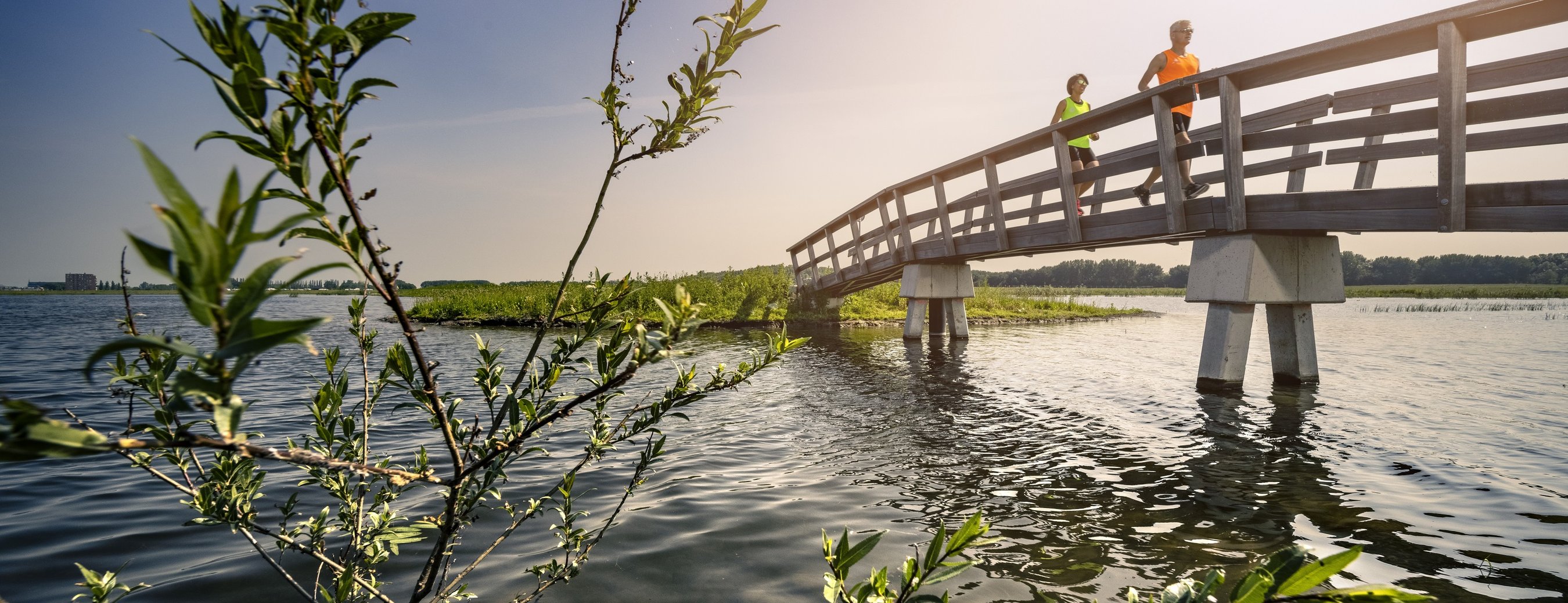 AI water quality prediction for Rijnland