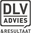 DLV